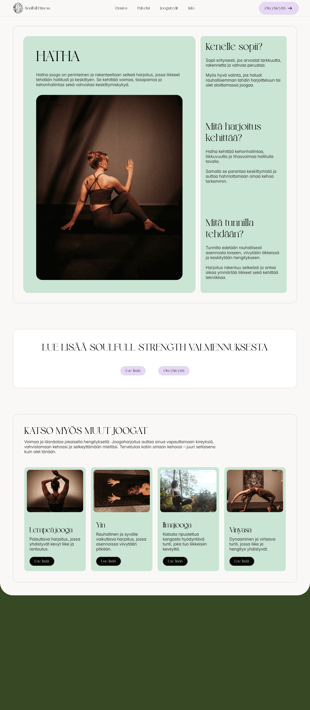 Soulfull Fitness – site view 2
